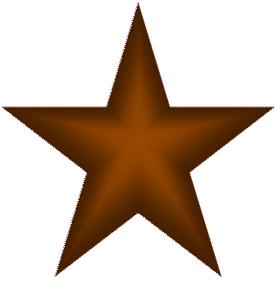 Chocolate Star Cookies